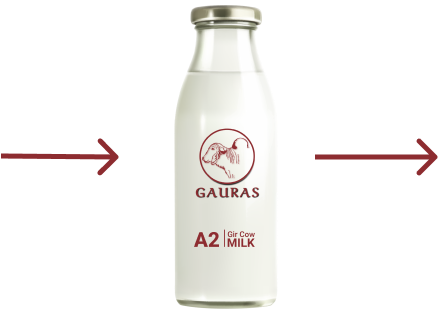 A2 Milk